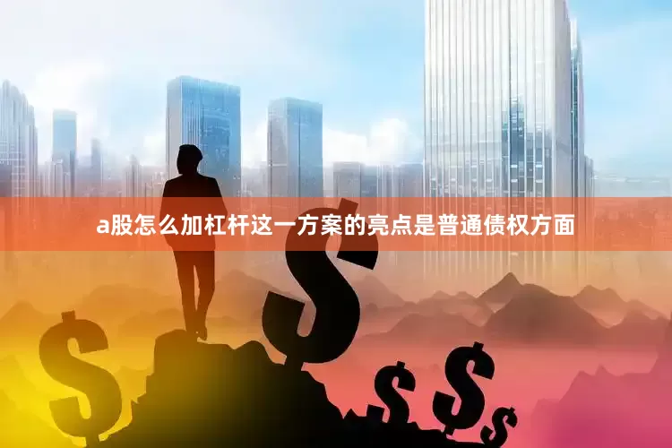 a股怎么加杠杆这一方案的亮点是普通债权方面