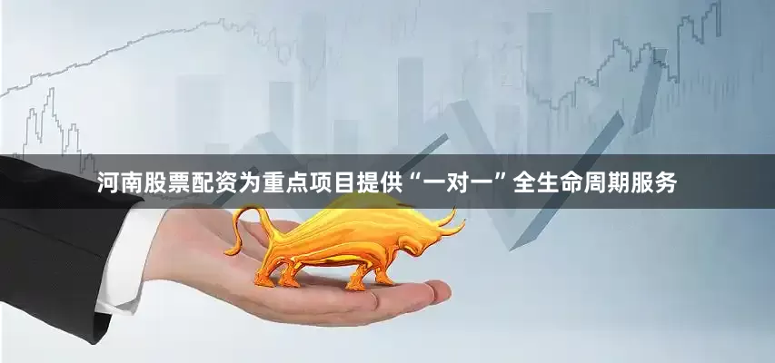 河南股票配资为重点项目提供“一对一”全生命周期服务