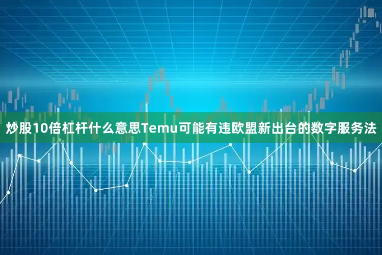 炒股10倍杠杆什么意思Temu可能有违欧盟新出台的数字服务法